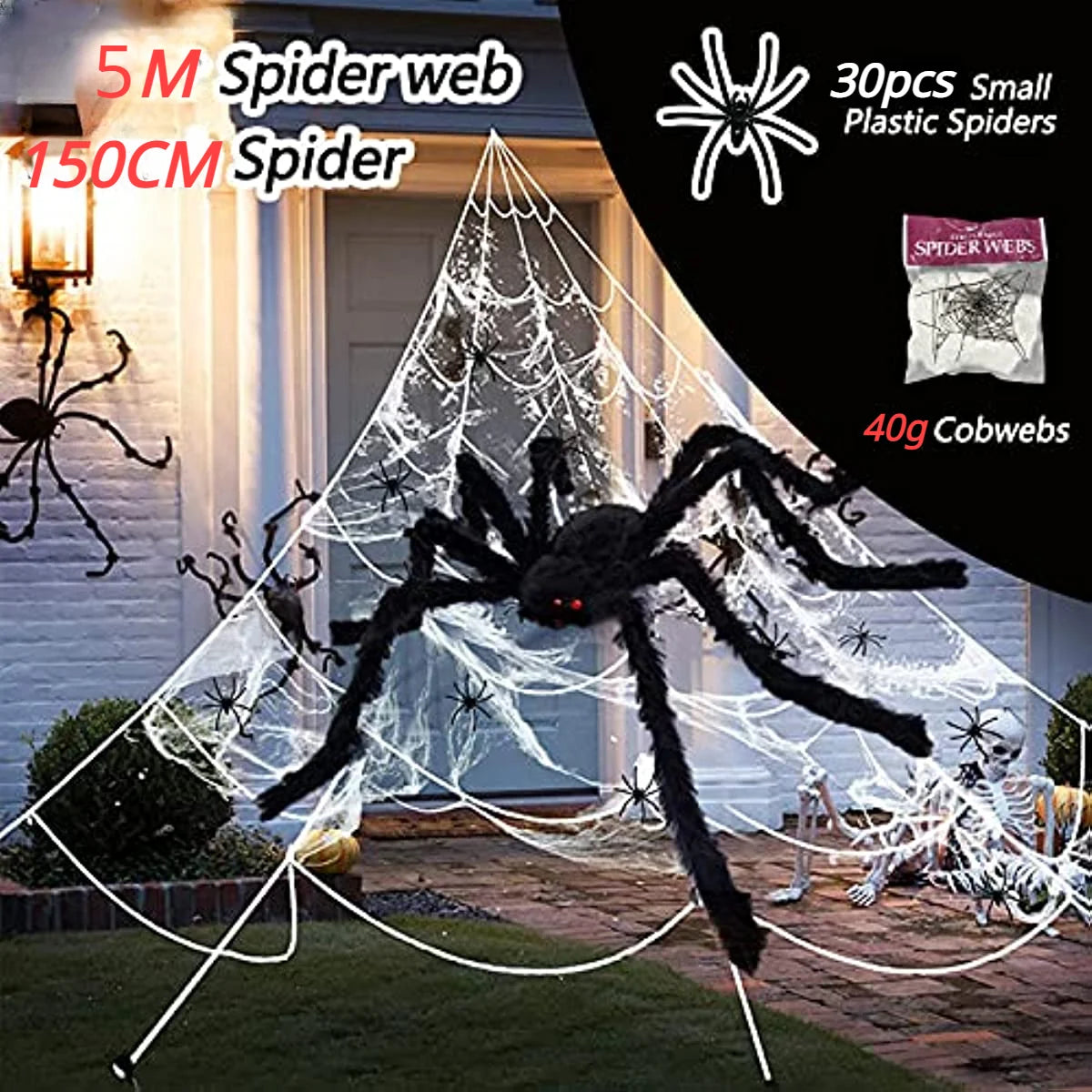 Giant Spider with Huge Spider Web