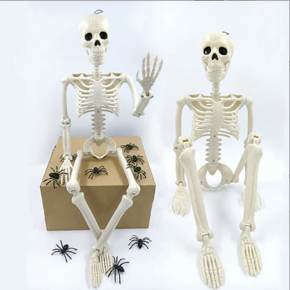 40cm Skeleton