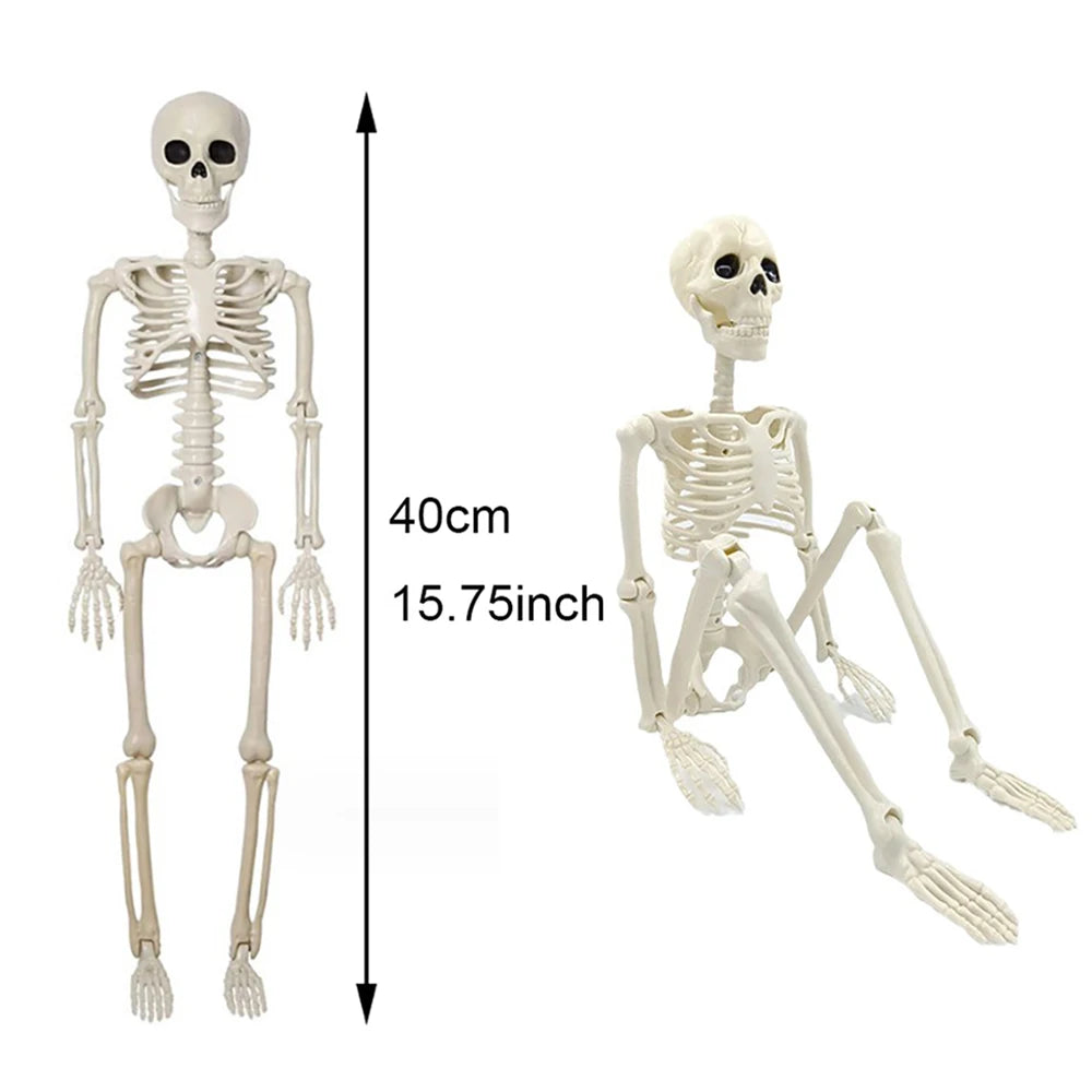 40cm Skeleton