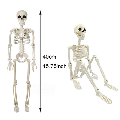 40cm Skeleton