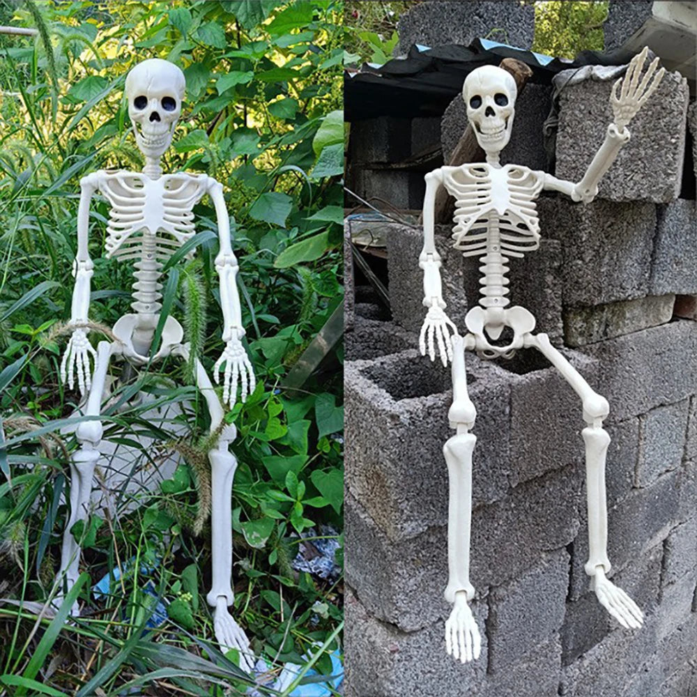 40cm Skeleton